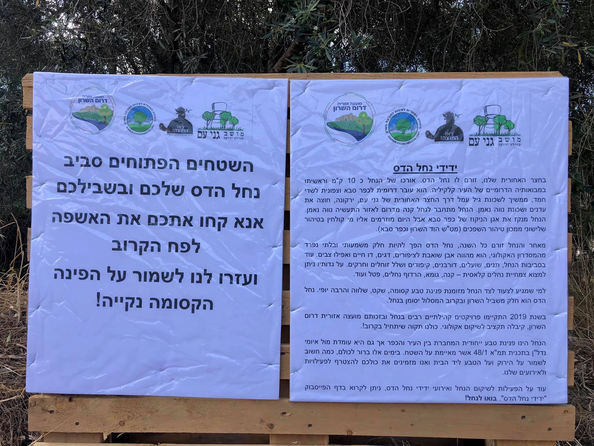 סיור בנחל הדס