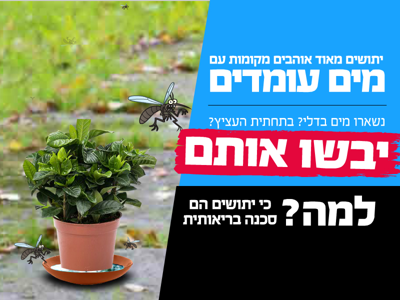קמפיין משרד הבריאות