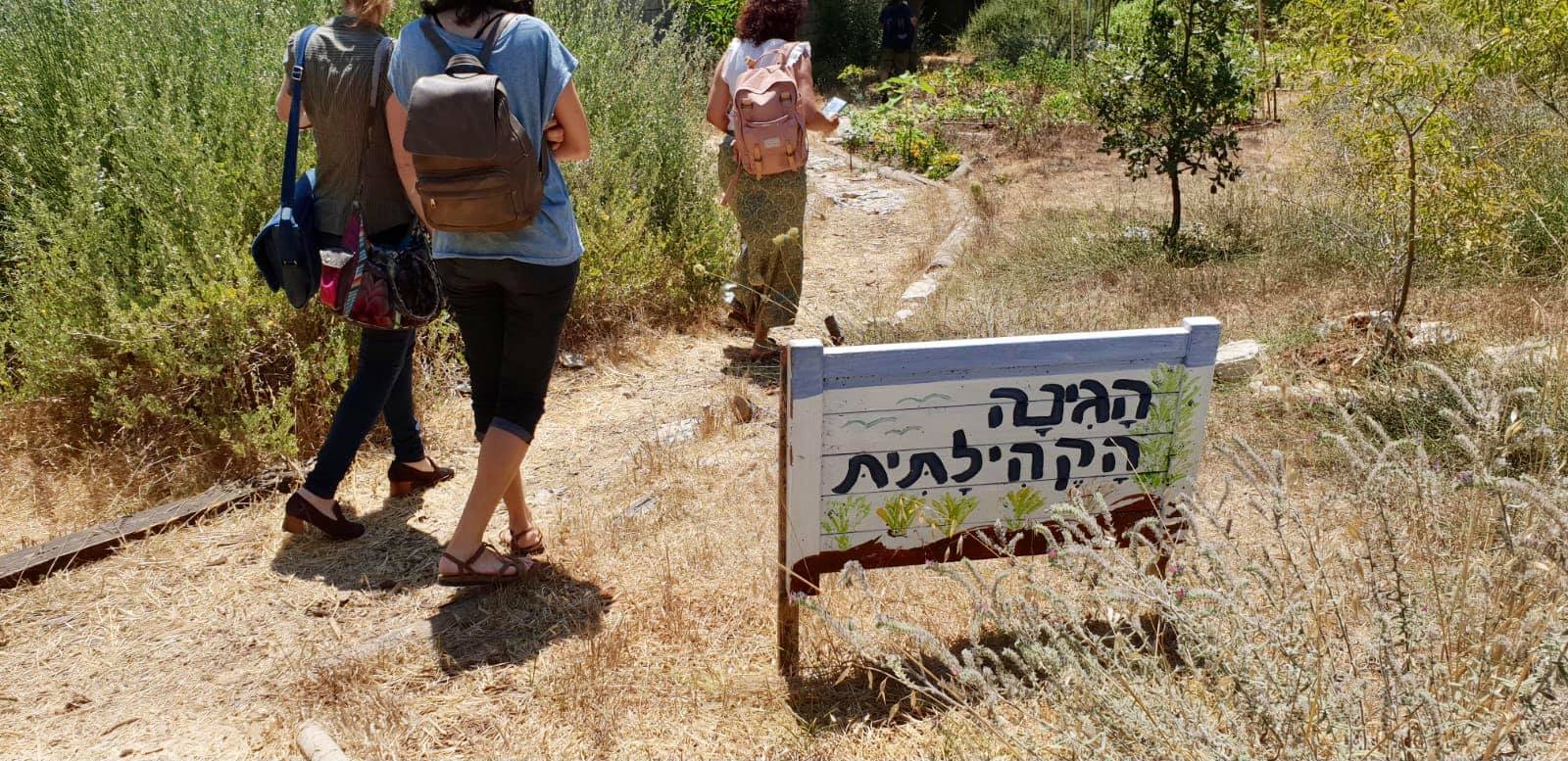 מסיירים בגינה הקהילתית