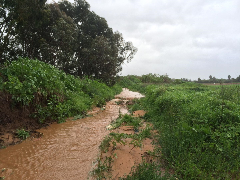 חורף בנחלי דרום השרון