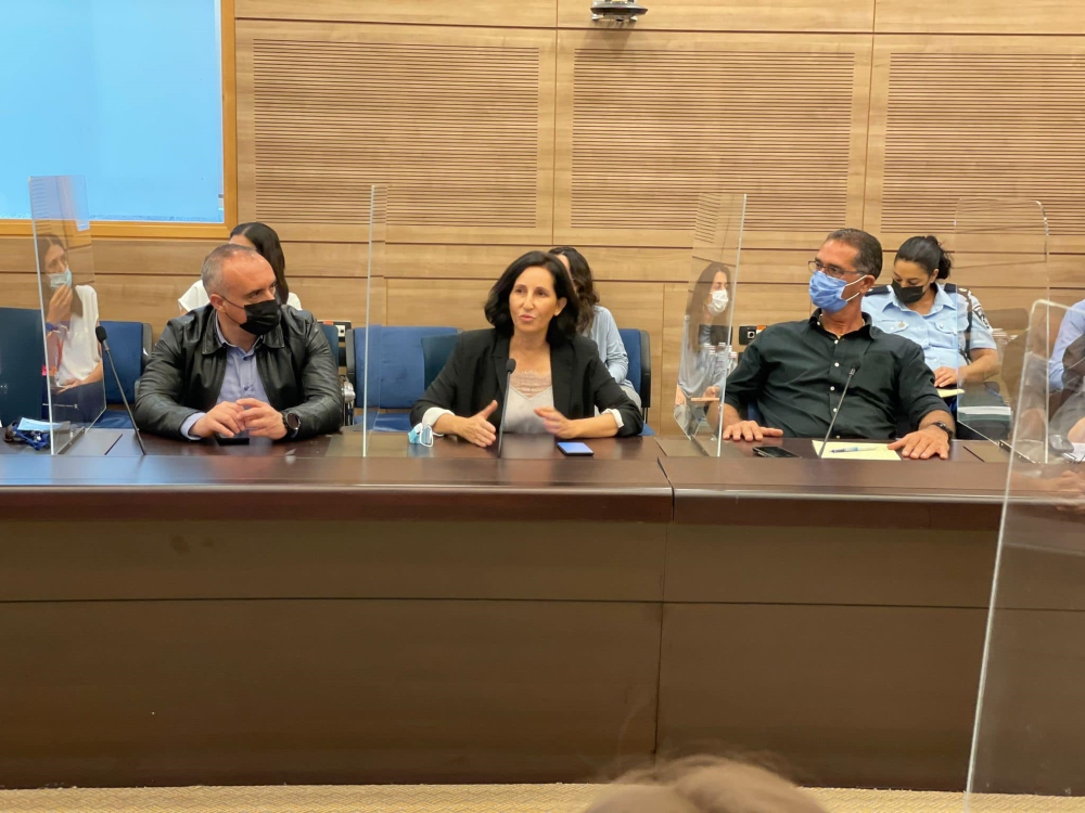 ראש המועצה אושרת גני גונן בדיון בכנסת