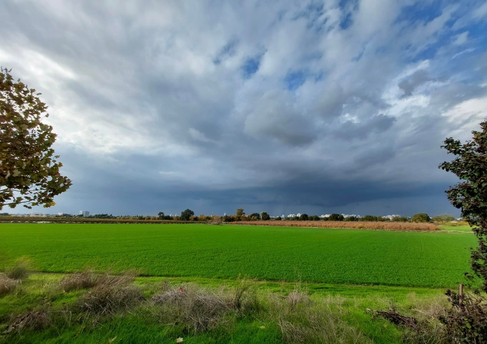 חורף בשדות היישוב נווה ירק