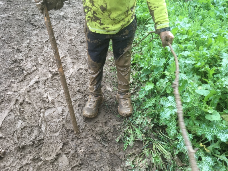 מגפיים בבוץ בשביל הליכה