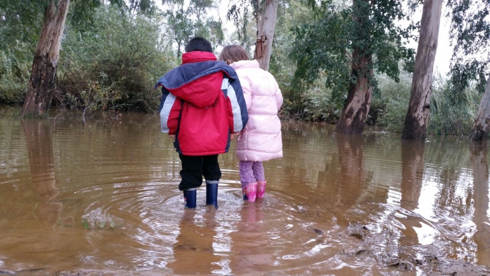 הולכים בשלוליות הבוץ במסלול טבע בדרום השרון