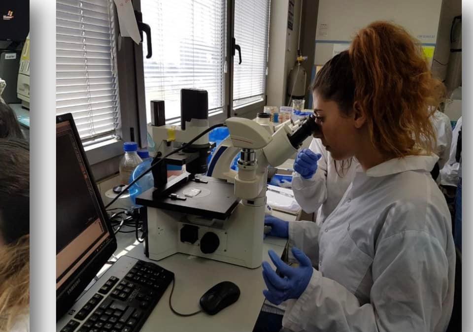 נערה בפעילות מדעים מתבוננת מבעד למכשיר מיקרוסקופ