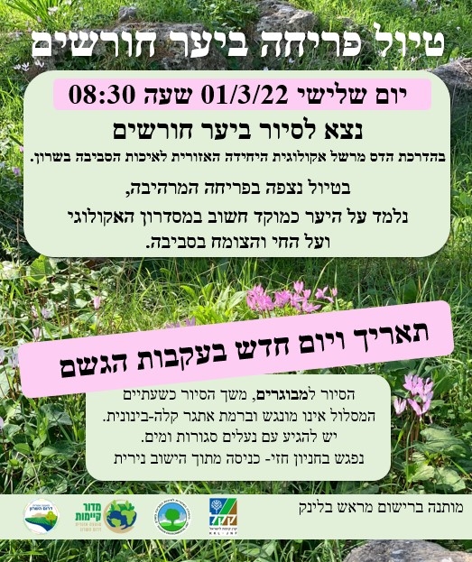 מודעה גרפית הזמנה לטיול פריחה ביער חורשים