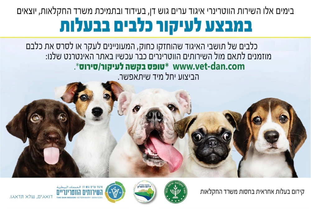 מודעה גרפית מבצע לעיקור כלבים בבעלות