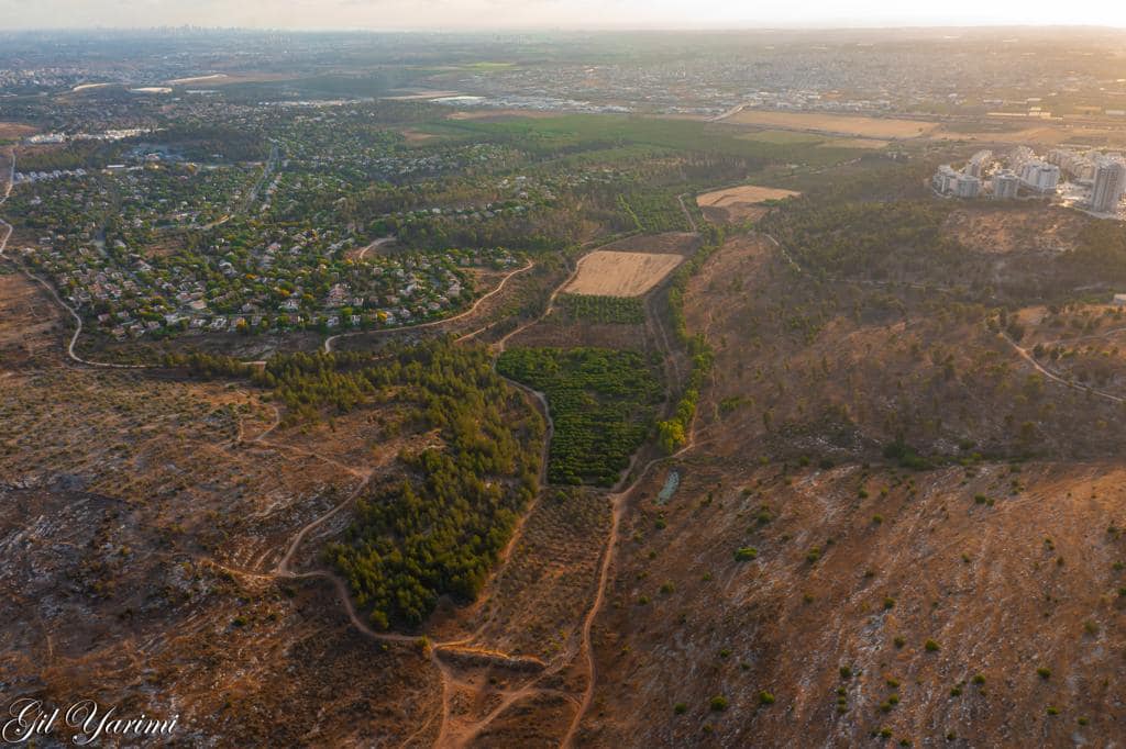 צילום אווירי של מטעי האבוקדו של היישוב צור נתן