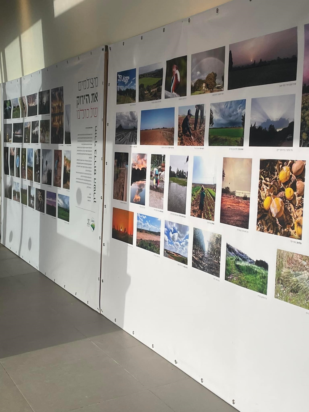 תצוגה בתערוכת הצילומים של דרום השרון