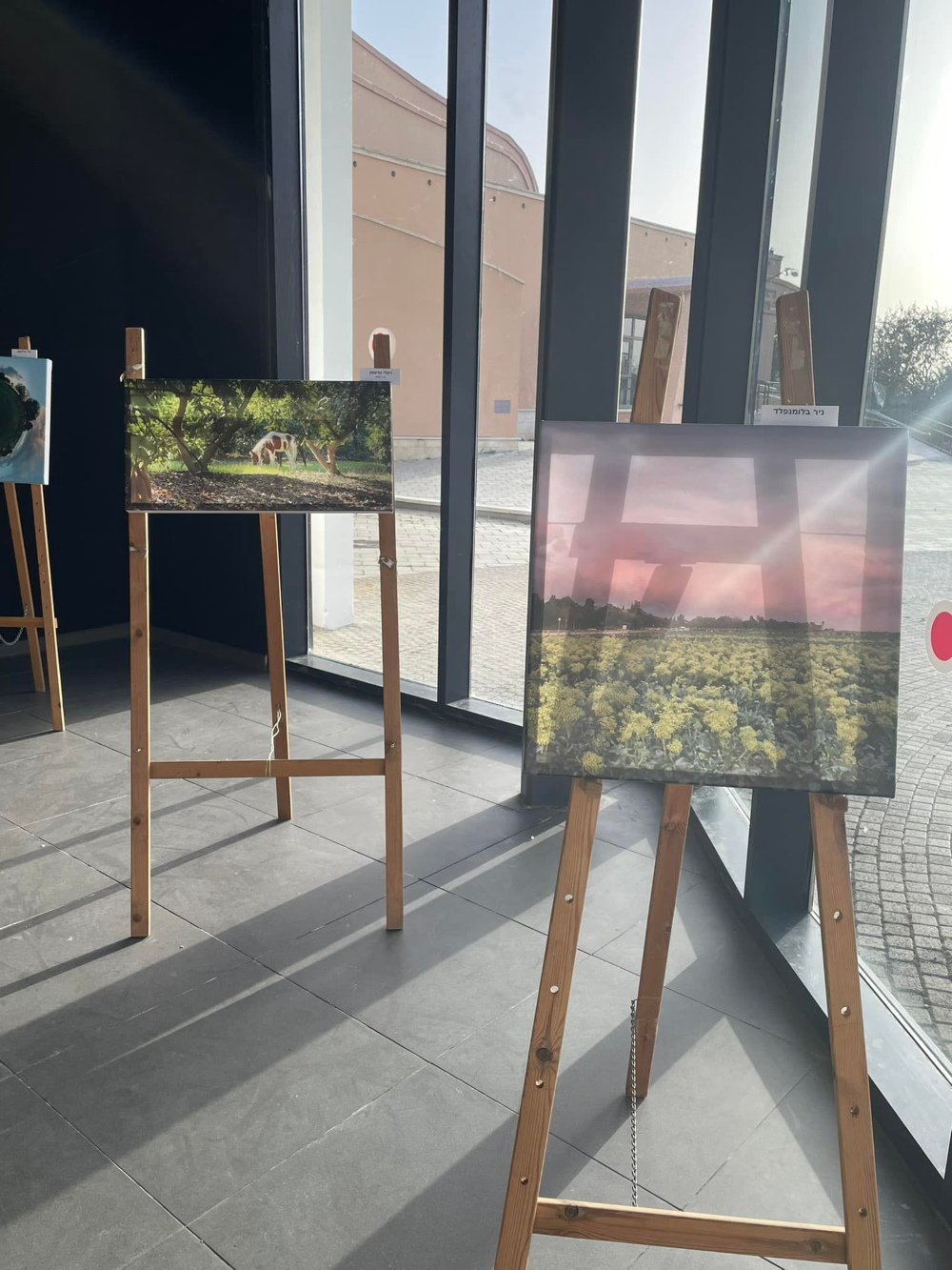 תצוגה בתערוכת הצילומים בדרום השרון