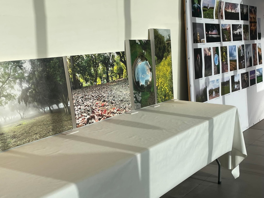 אוסף תמונות מתוך התערוכה של דרום השרון