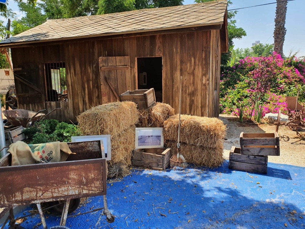 מיצג חקלאי במוזיאון עין חי בכפר מלל