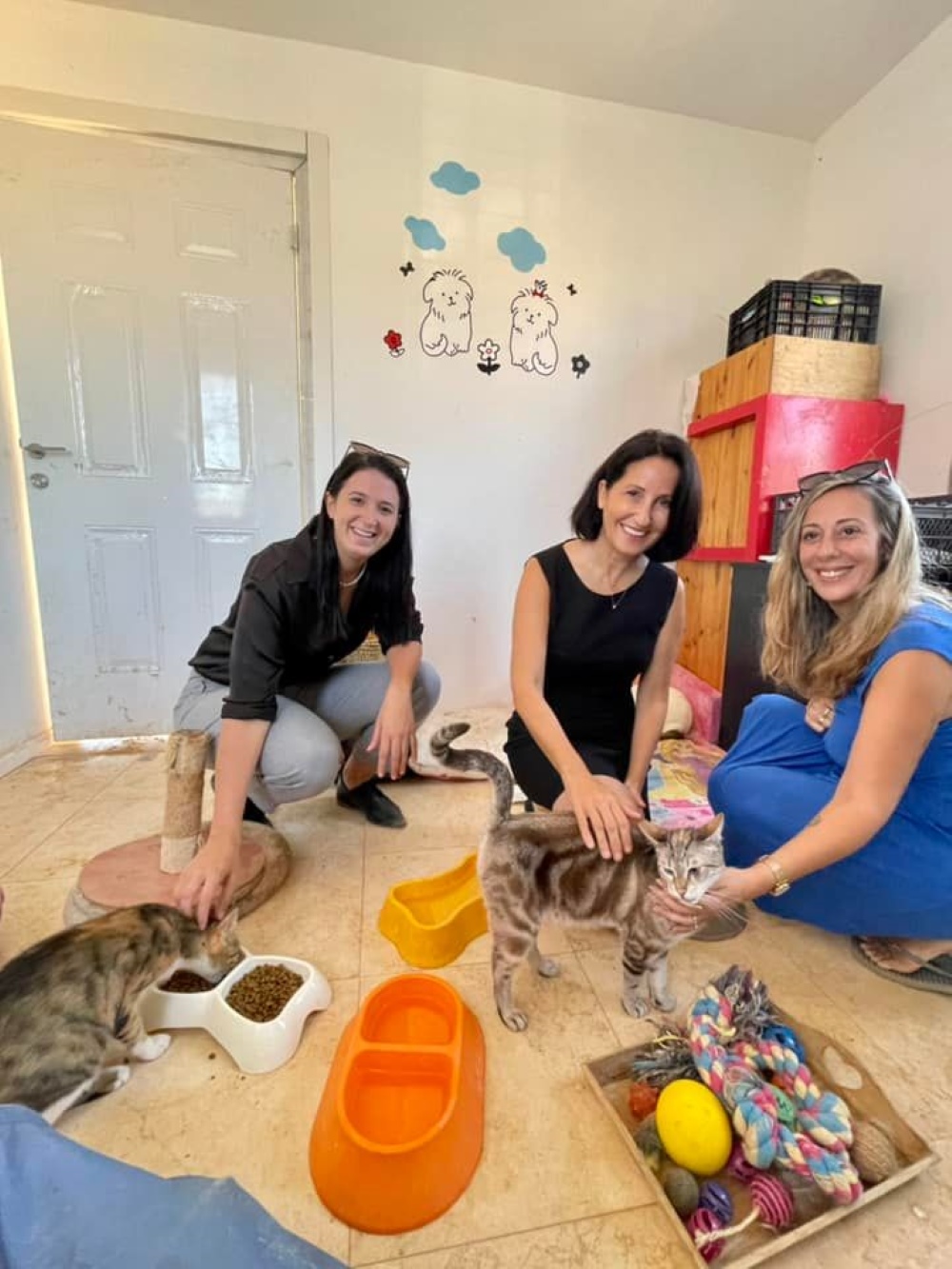 חברת הכנסת שירלי פינטו בביקור במועצה עם בעלי חיים בחוות קרן אור השיקומית