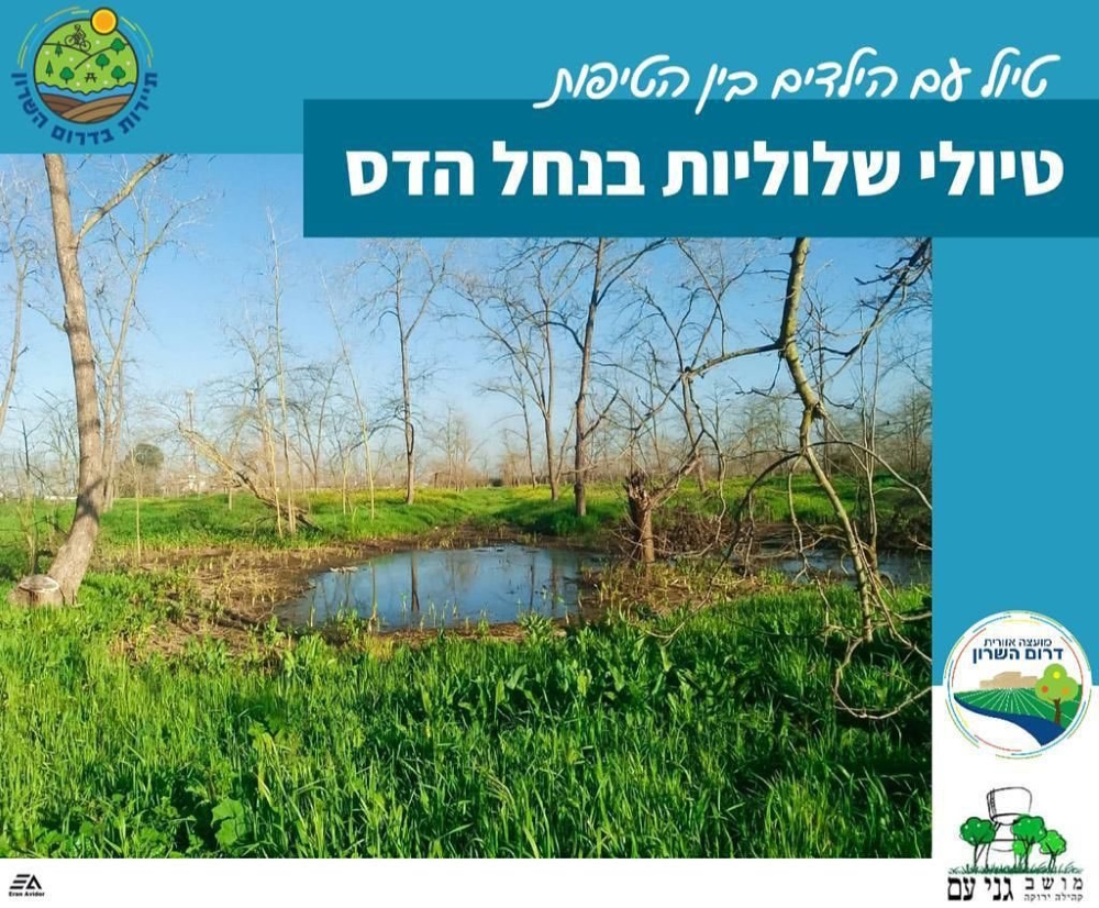 טיול שלוליות בנחל הדס