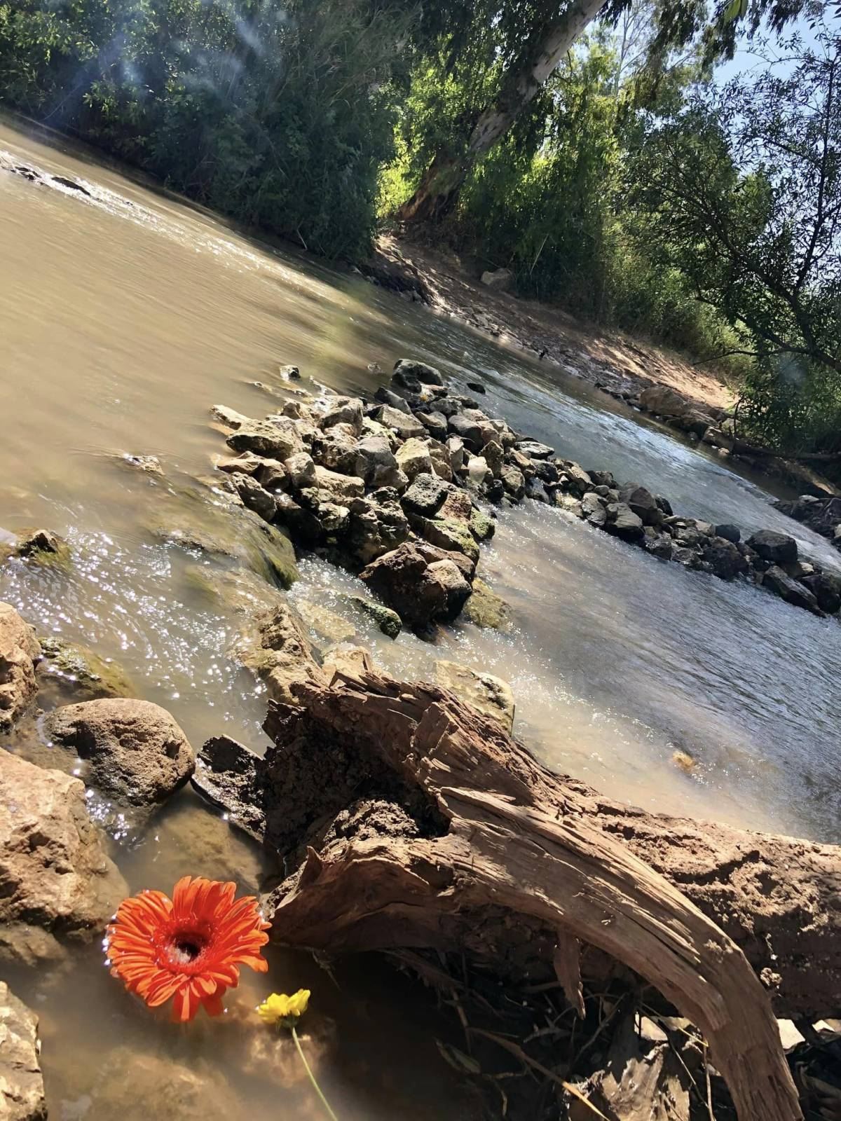 הפנינג טיולי משפחות בחוהמ פסח 2023