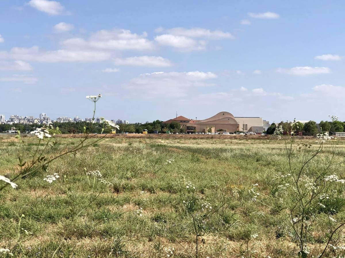 הפנינג טיולי משפחות בחוהמ פסח 2023