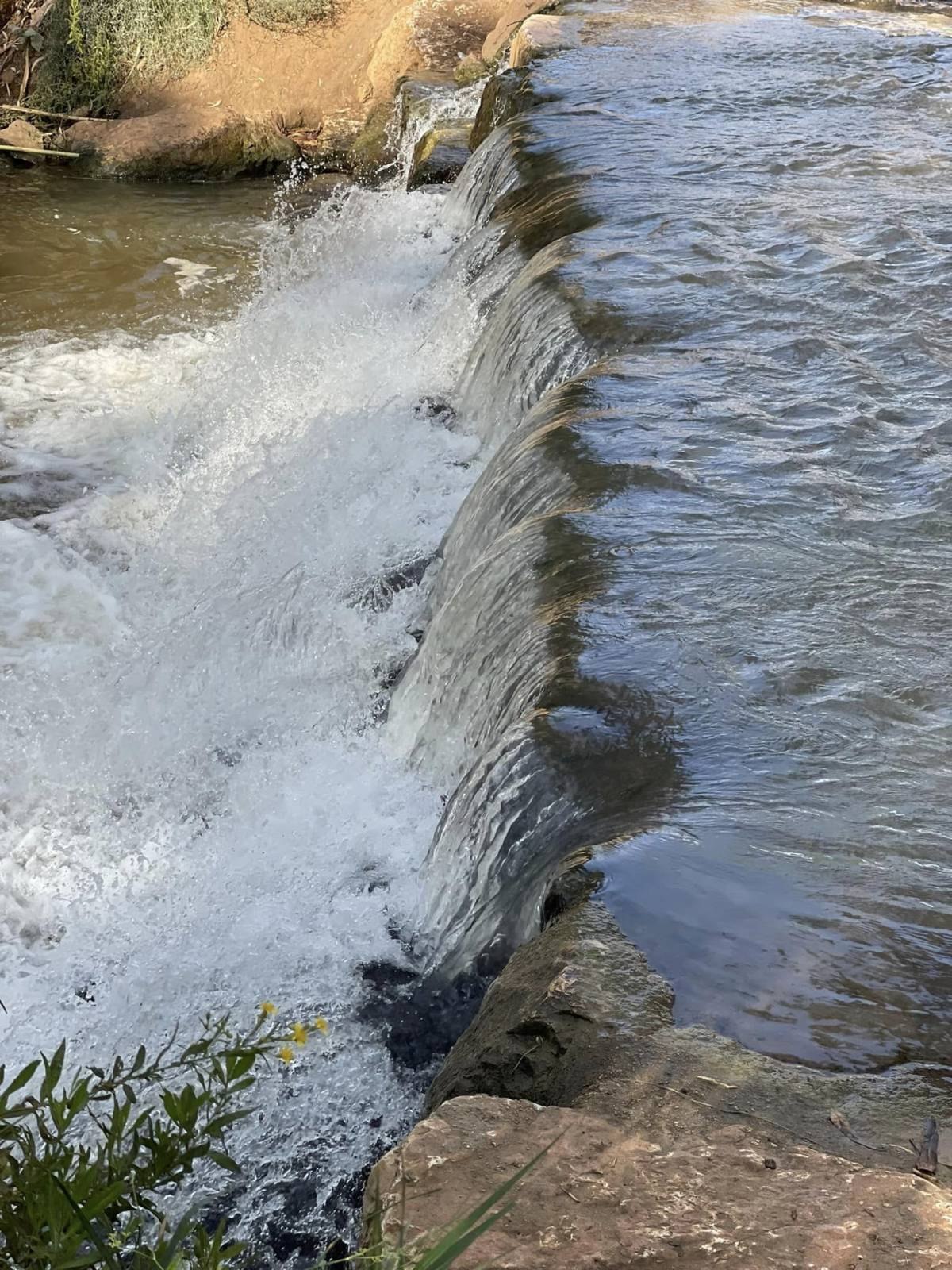 הפנינג טיולי משפחות בחוהמ פסח 2023