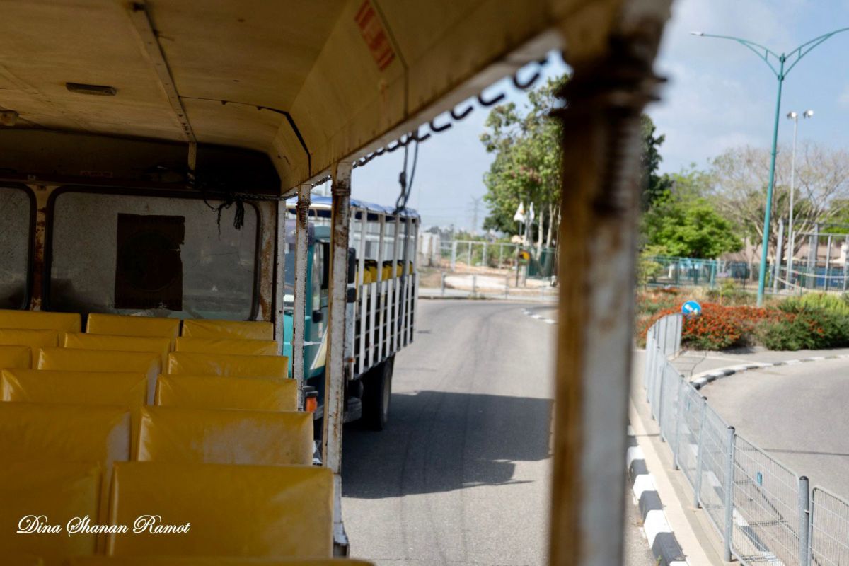 תמונות מסבב טיולי ספארי בדרום השרון