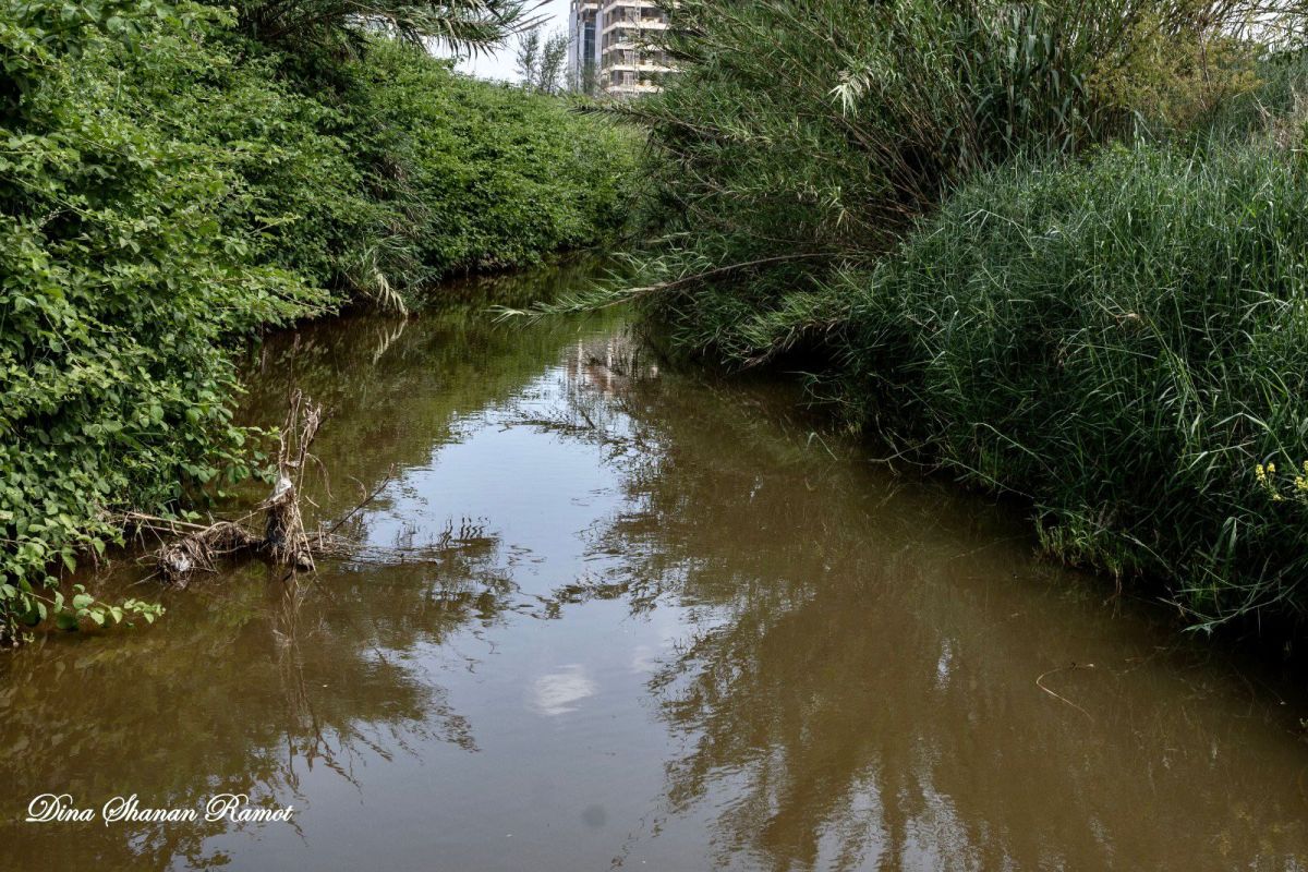 תמונות מסבב טיולי ספארי בדרום השרון