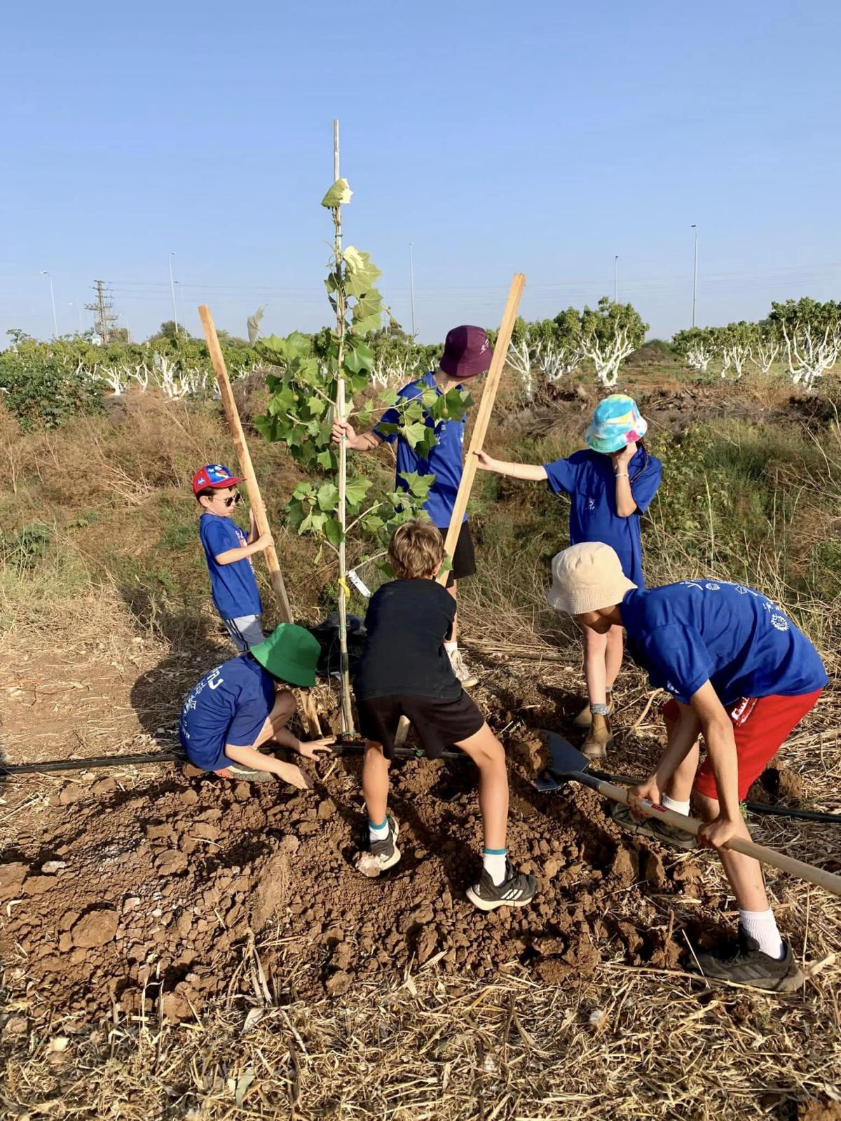 נוטעים ארצישראלי - נטיעות בדרום השרון