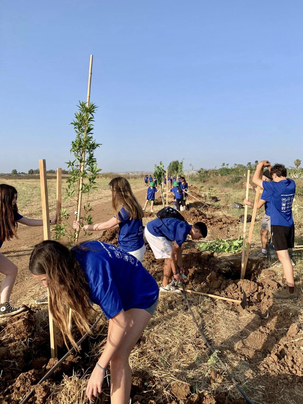 נוטעים ארצישראלי - נטיעות בדרום השרון
