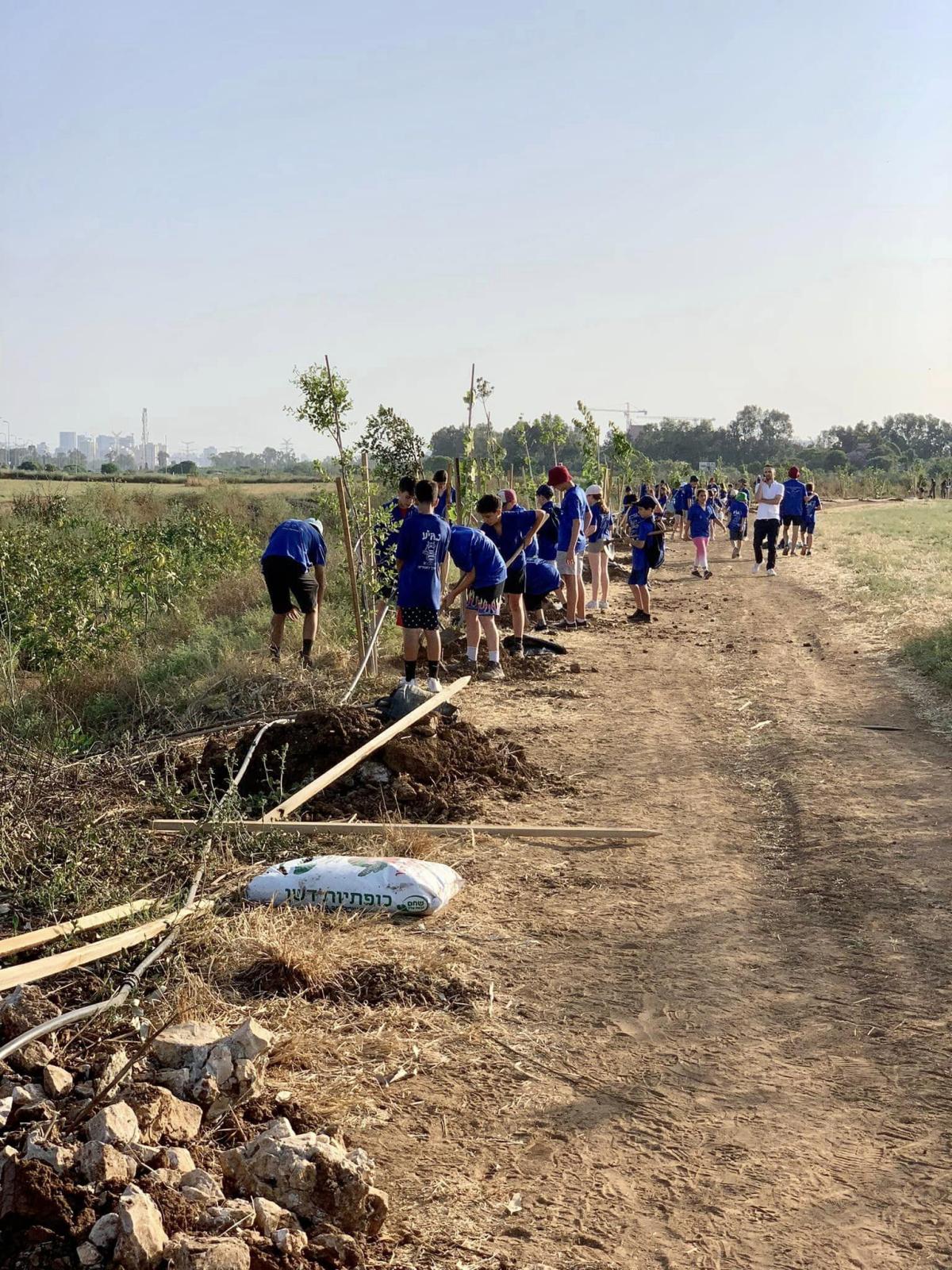 נוטעים ארצישראלי - נטיעות בדרום השרון