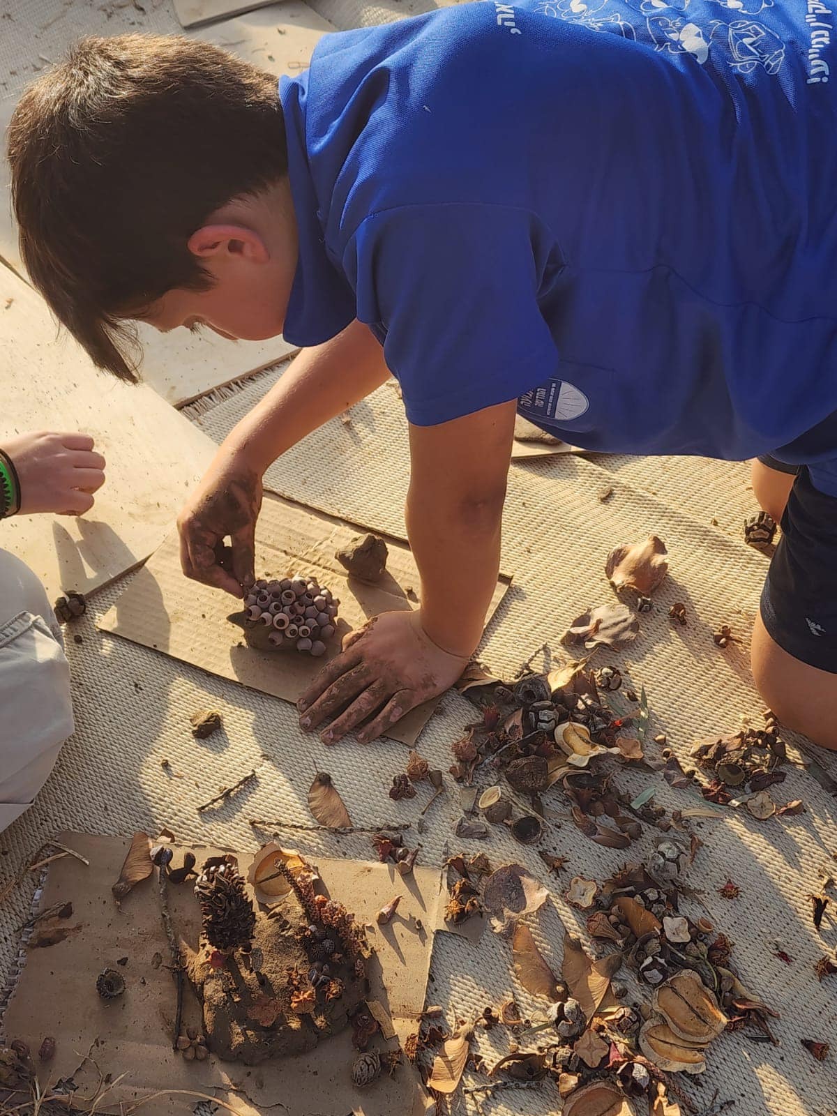 נוטעים ארצישראלי - נטיעות בדרום השרון