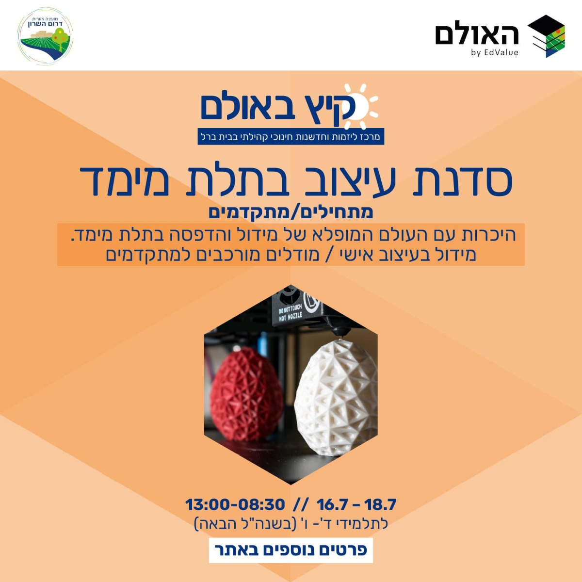 מודעה גרפית - קיץ באולם