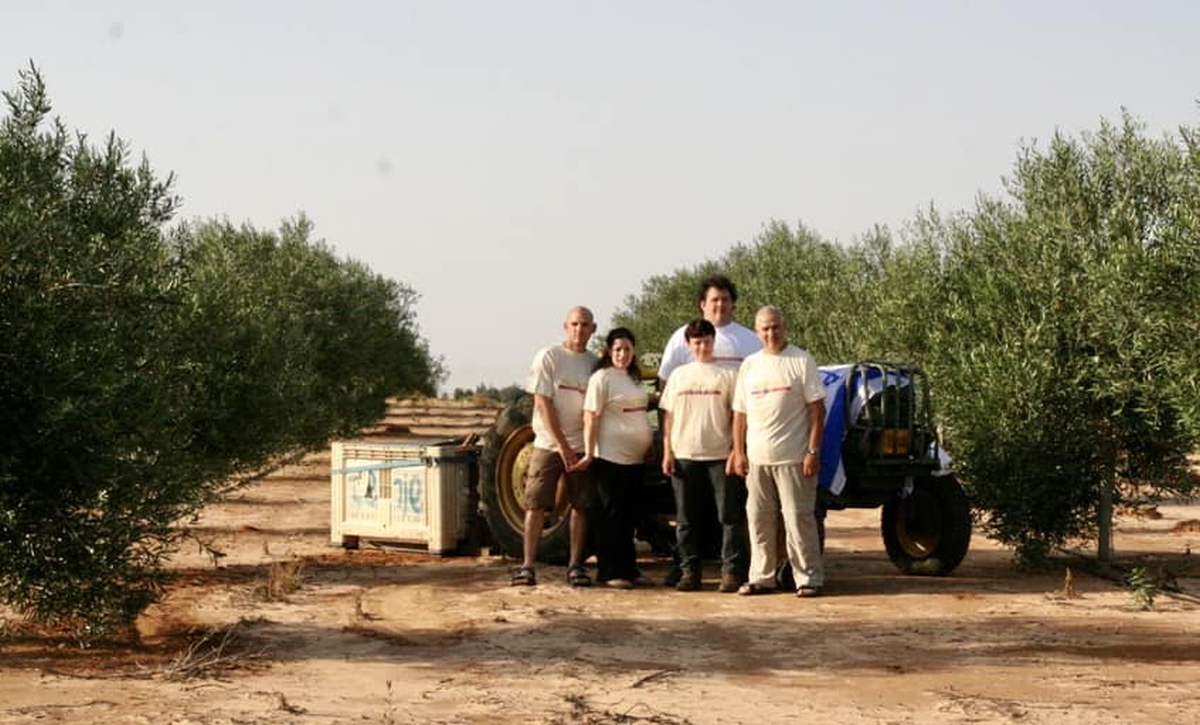 כבוד גדול לשמן הזית הישראלי מדרום השרון