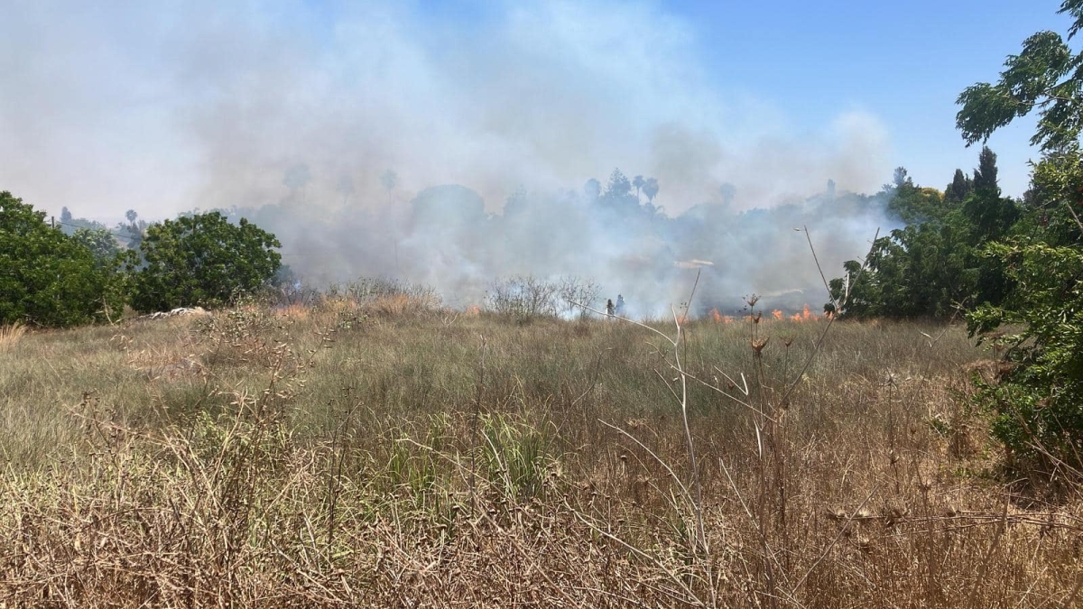 תמונות משריפות ברחבי המועצה