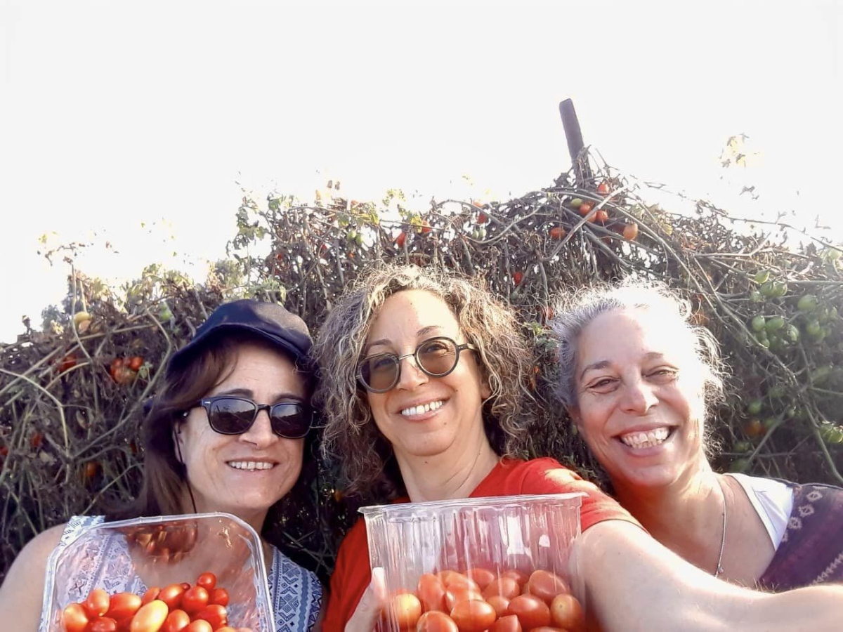 רוכשים תוצרת חקלאית ומסייעים לתושבי הדרום והצפון