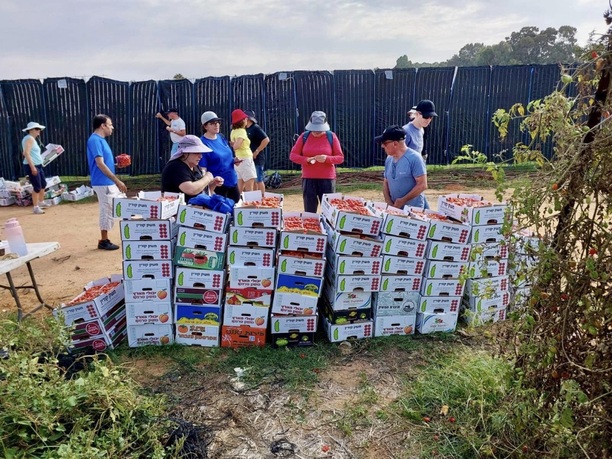 רוכשים תוצרת חקלאית ומסייעים לתושבי הדרום והצפון
