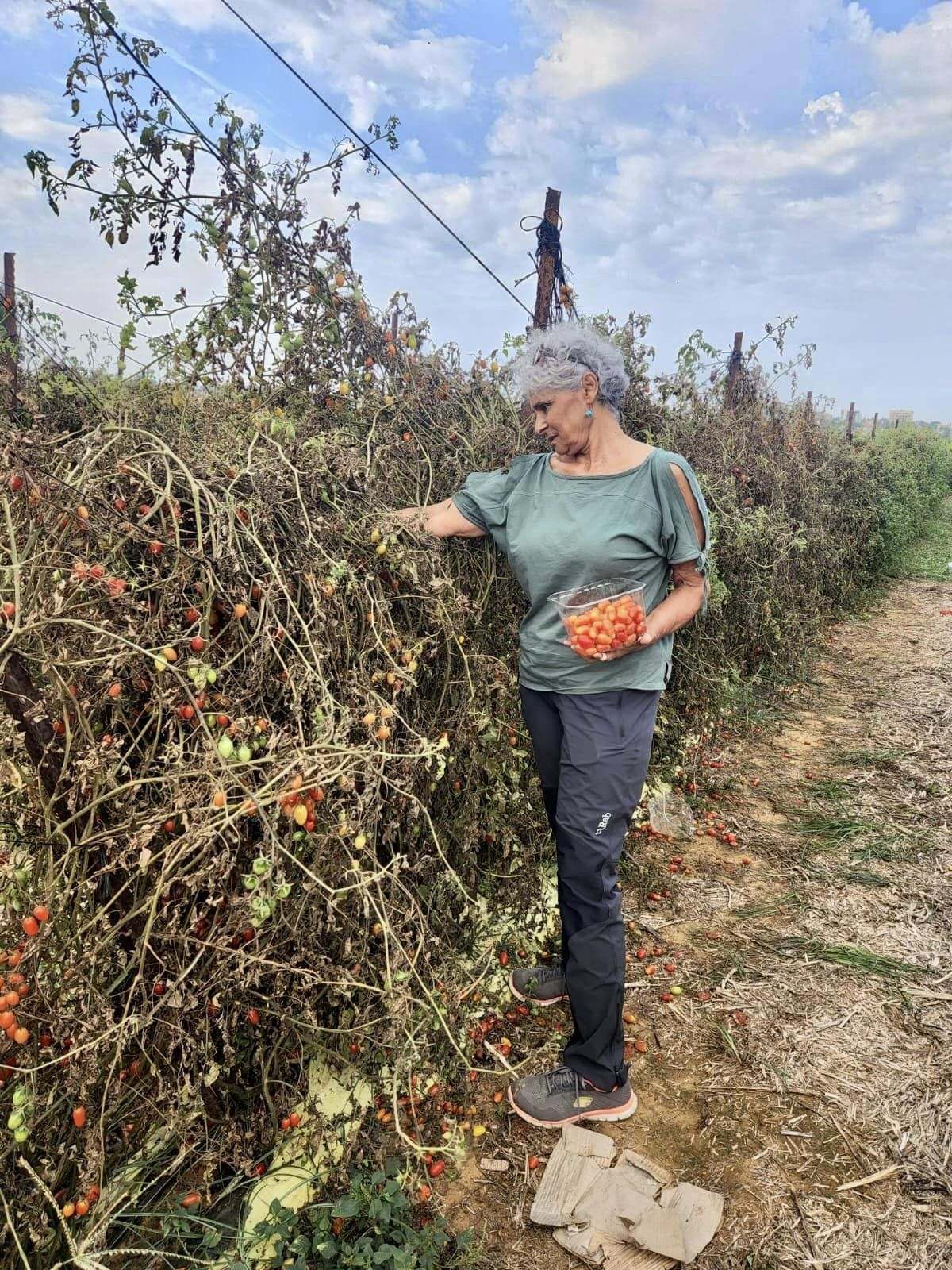 רוכשים תוצרת חקלאית ומסייעים לתושבי הדרום והצפון