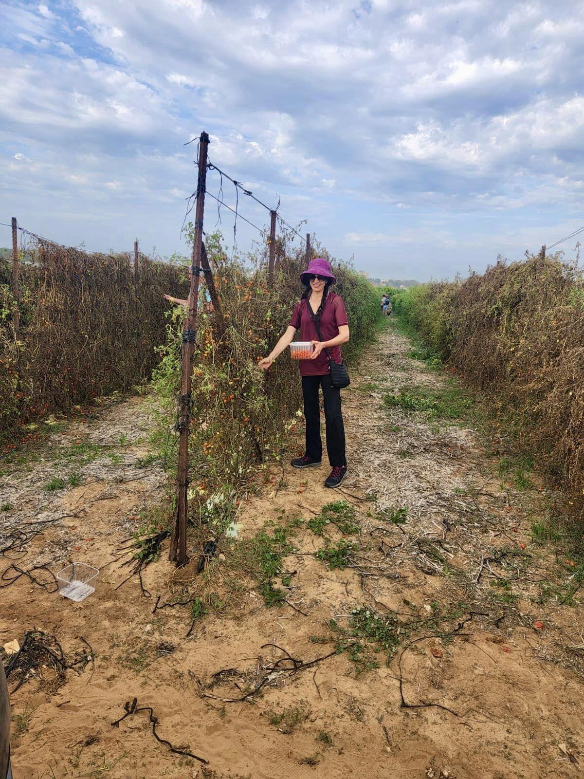 רוכשים תוצרת חקלאית ומסייעים לתושבי הדרום והצפון