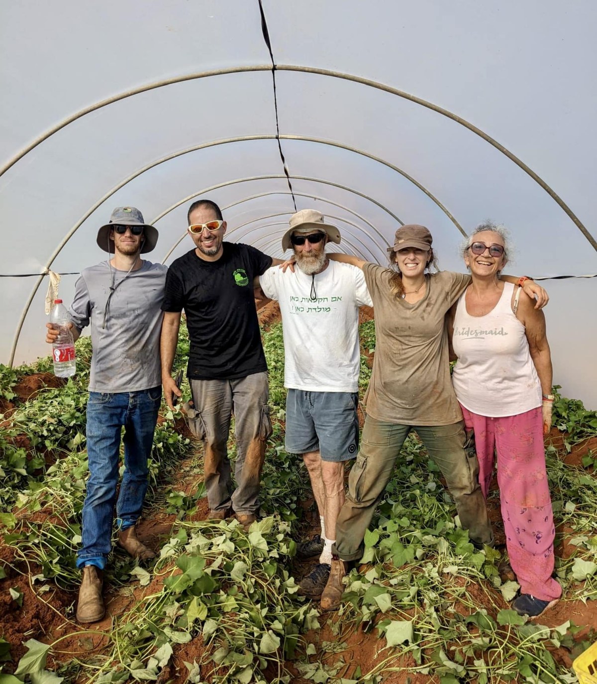 חקלאות בדרום השרון