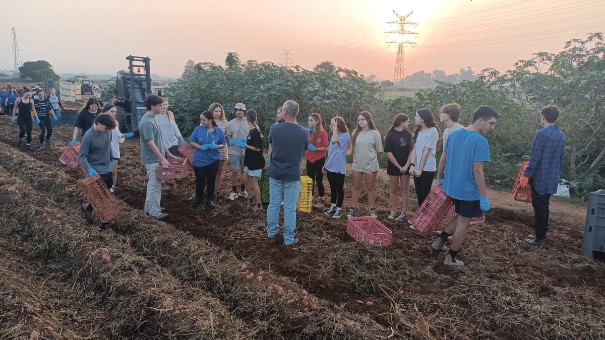 צו 8 לחקלאות!