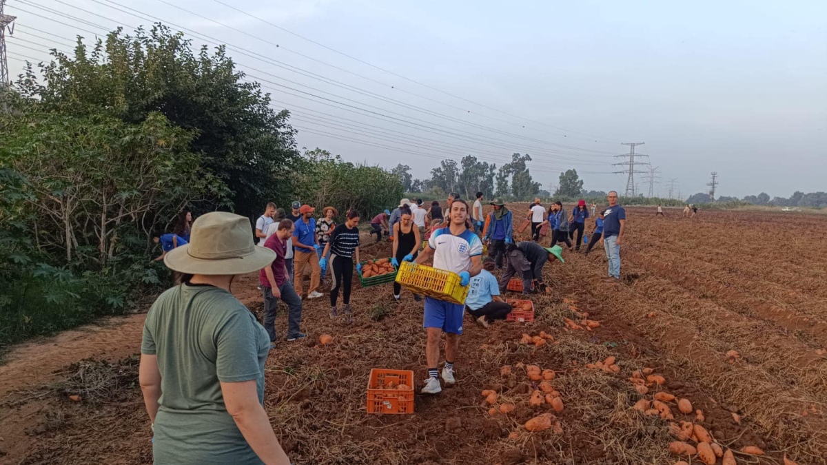 צו 8 לחקלאות!