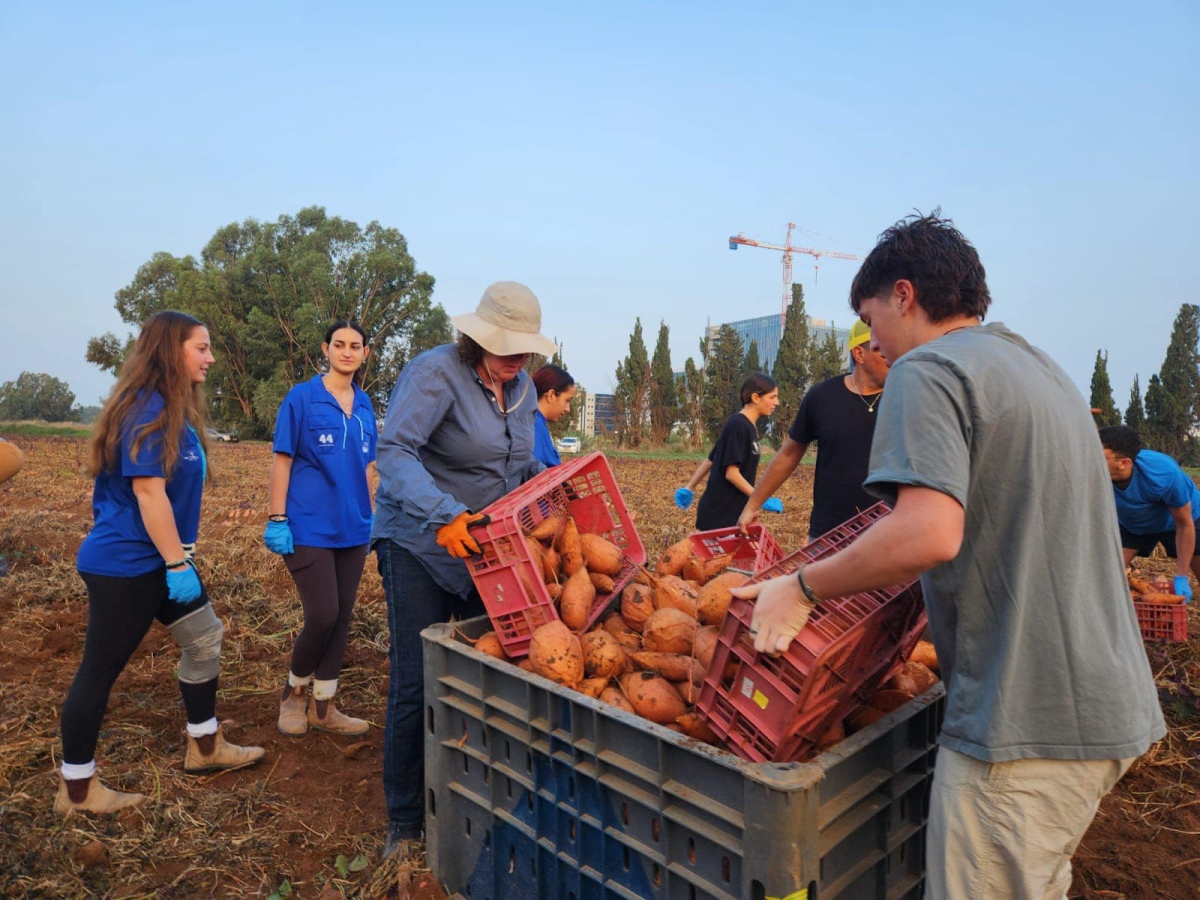 צו 8 לחקלאות!