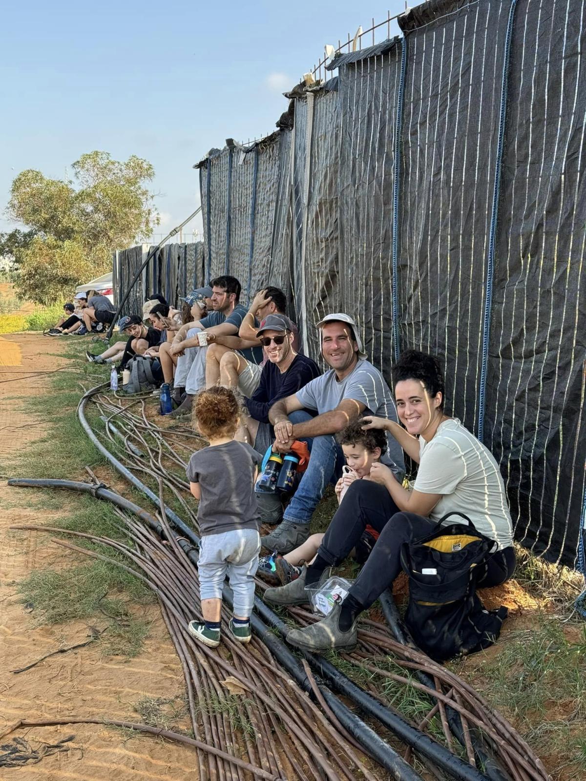 קטיף עגבניות שרי בדרום השרון