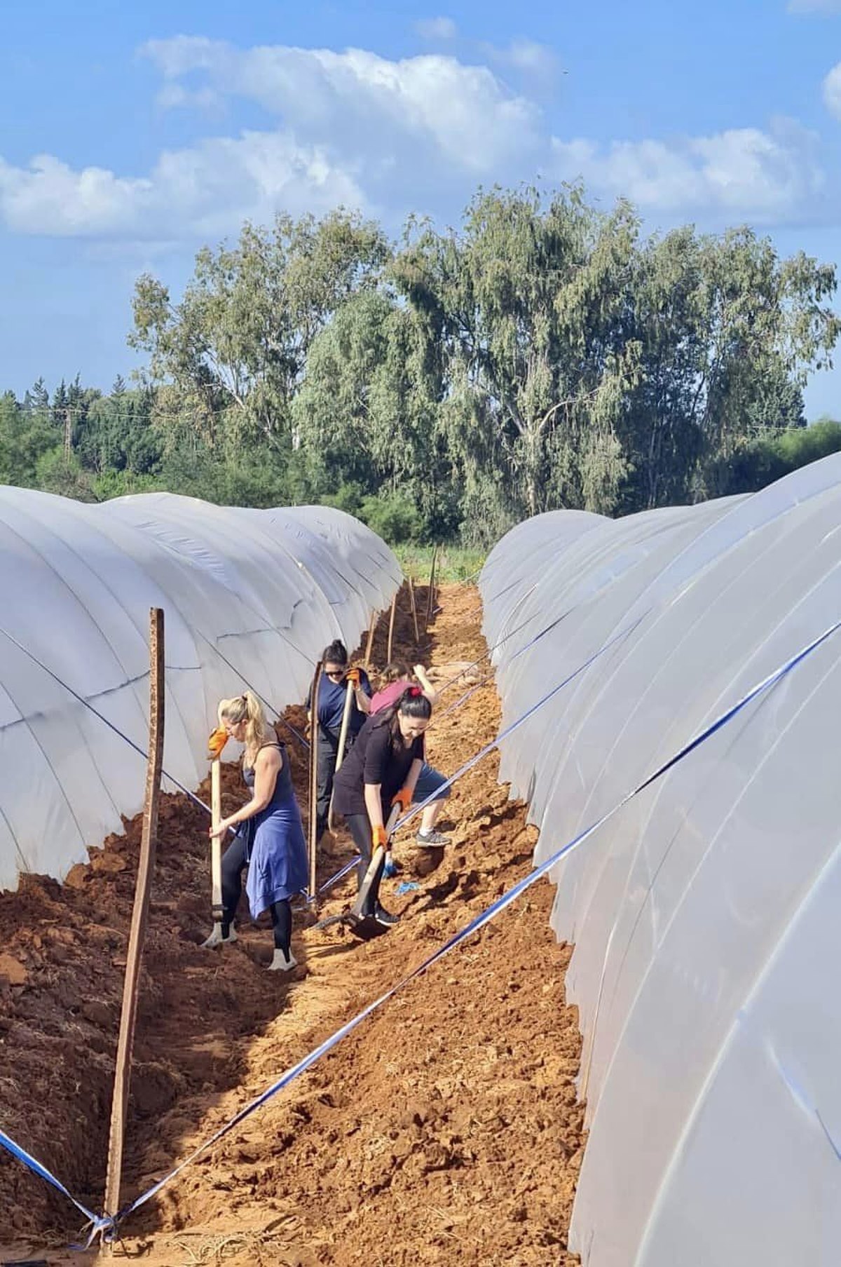 תמונות של עובדות ועובדי מחוז מרכז של רשות מקרקעי ישראל בחוות קרן-אור
