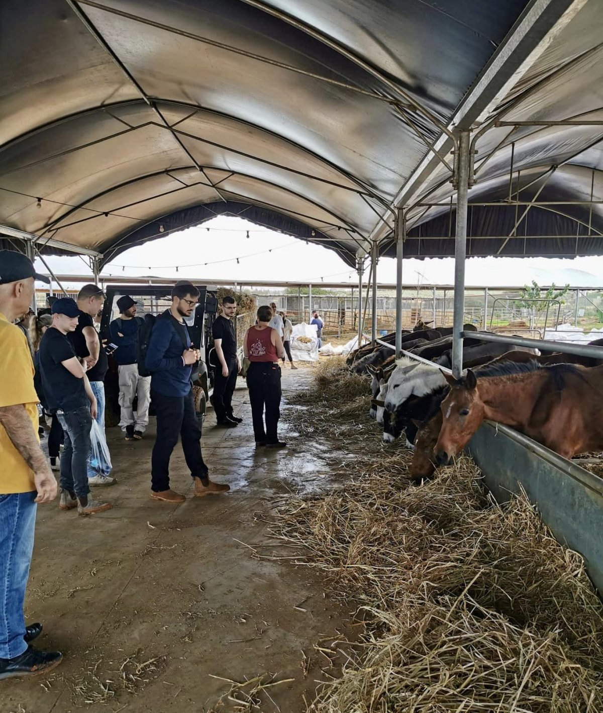 תמונות של עובדות ועובדי מחוז מרכז של רשות מקרקעי ישראל בחוות קרן-אור