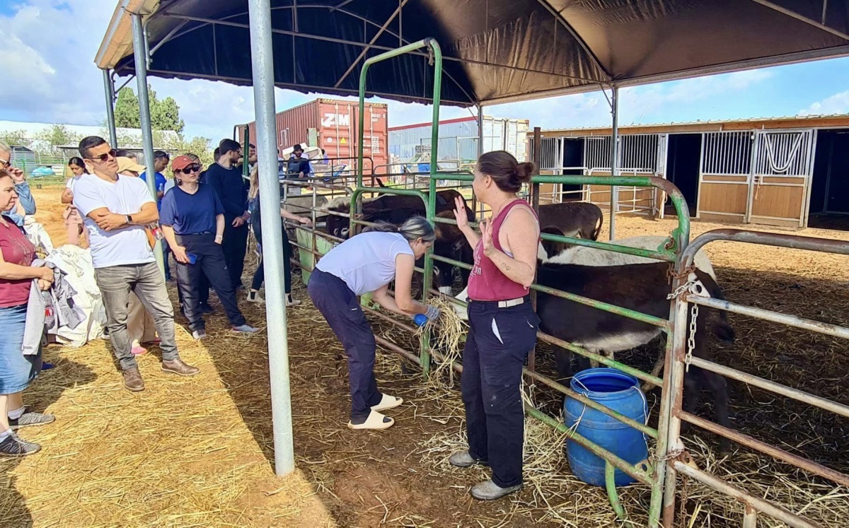 תמונות של עובדות ועובדי מחוז מרכז של רשות מקרקעי ישראל בחוות קרן-אור