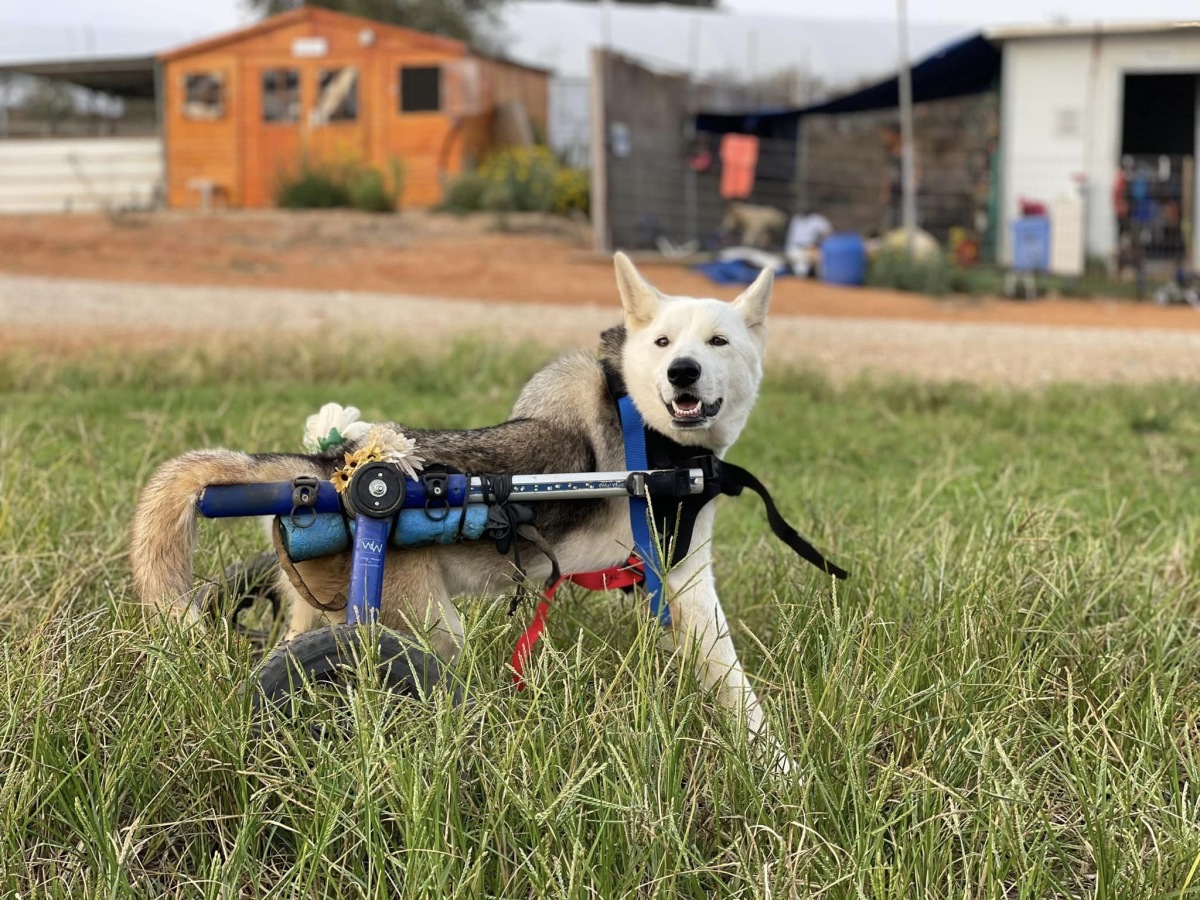 תמונות של עובדות ועובדי מחוז מרכז של רשות מקרקעי ישראל בחוות קרן-אור