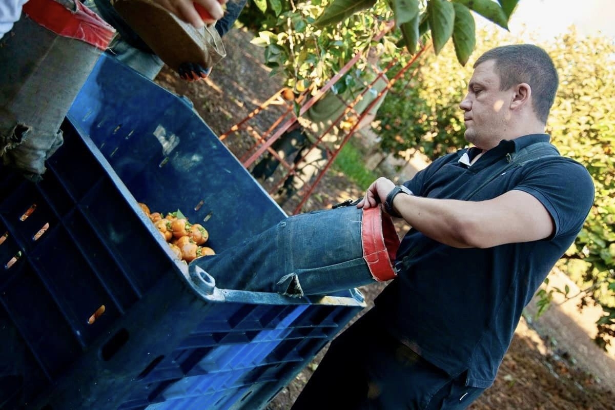 תושבות ותושבי דרום השרון מתגייסים בצו 8 לחקלאות