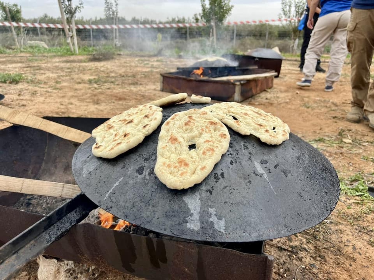 תמונות מארוע מפריחים עפיפונים לשחרורם בחווה החקלאית
