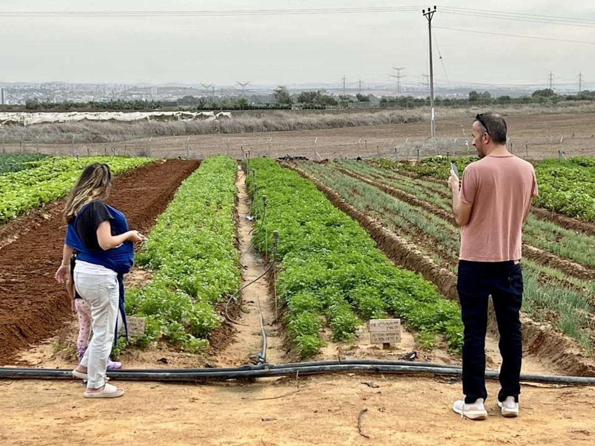 תמונות מארוע מפריחים עפיפונים לשחרורם בחווה החקלאית