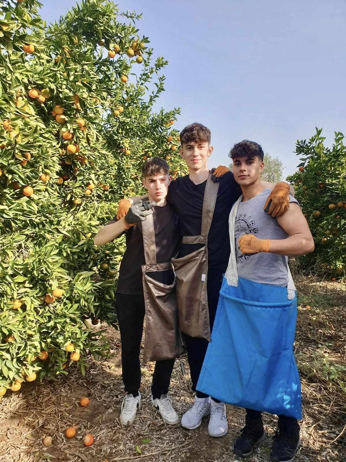 תמונות של בנות ובני נוער מבתי הספר ותנועות הנוער במהלך התנדבויות חקלאיות במסגרת מעורבות חברתית