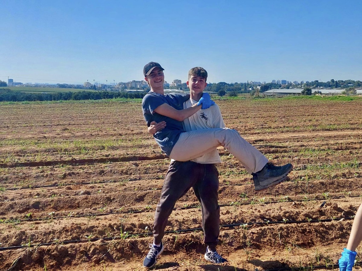 תמונות של בנות ובני נוער מבתי הספר ותנועות הנוער במהלך התנדבויות חקלאיות במסגרת מעורבות חברתית