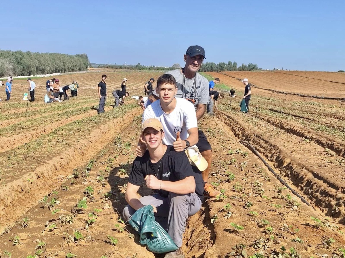 תמונות של בנות ובני נוער מבתי הספר ותנועות הנוער במהלך התנדבויות חקלאיות במסגרת מעורבות חברתית