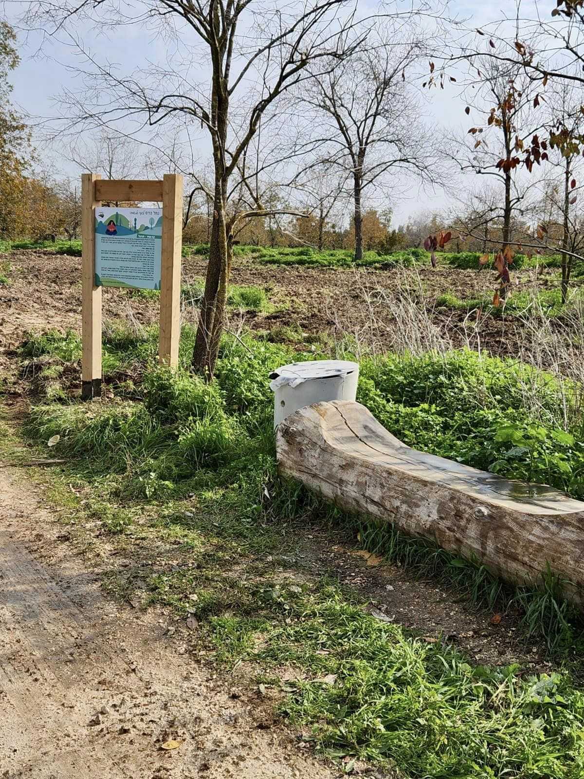 מנגישים את נחל הדס